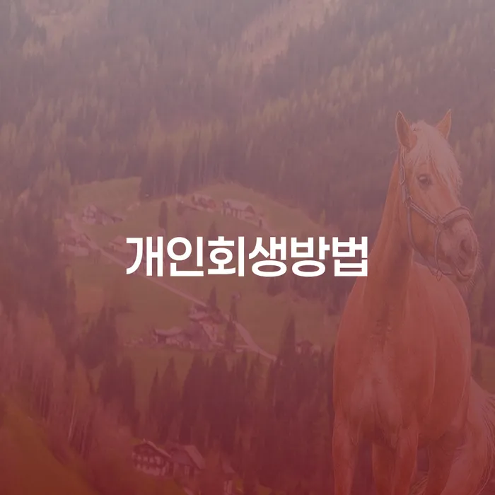 개인회생변호사 빚 합법적인 빠른방법 중요한정보