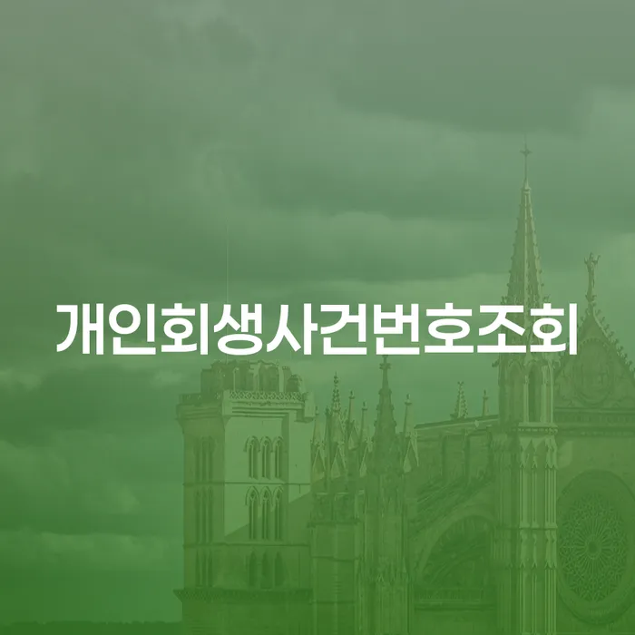 회생전문변호사 개인회생 처리방법 체크해보세요