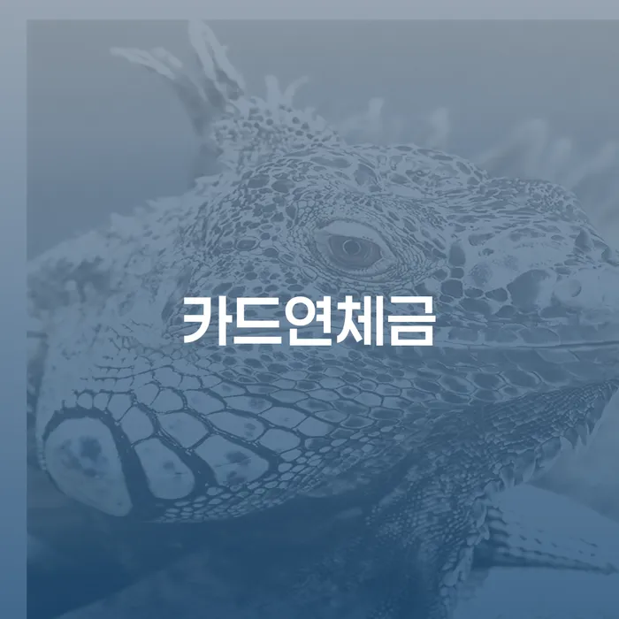 개인회생법무법인 개인회생으로 해결 추천하는 법률사무소