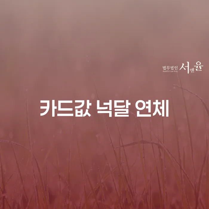 개인회생기각 개인회생으로 방법 직접 물어보고