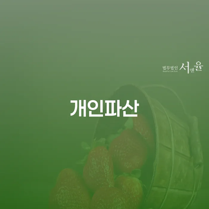 보이스피싱개인회생 개인회생으로 해결 결정나고