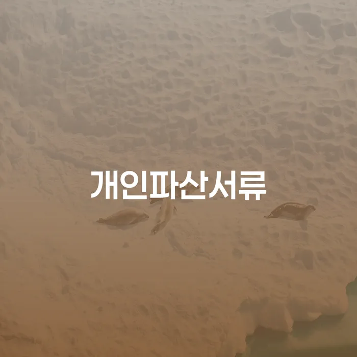 대한재무 개인회생으로 해결 성공하려면