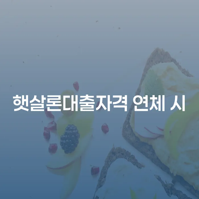 이천시 카드대금 연체 채무 효과적인 해결방법 신청해야할때