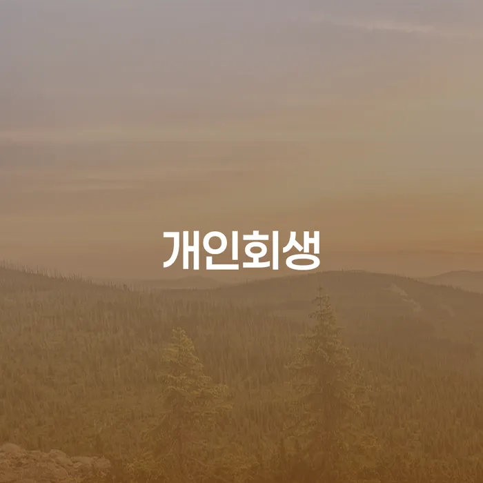 평창군 개인회생 미납 빚갚는 방법 대해서