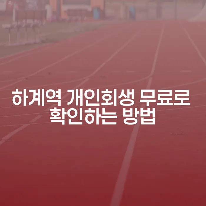 하계역 개인회생 무료로 확인하는 방법