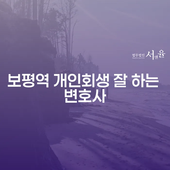 보평역 개인회생 잘 하는 변호사