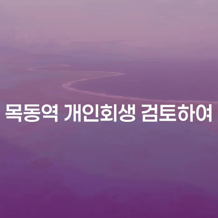 목동역 개인회생 검토하여