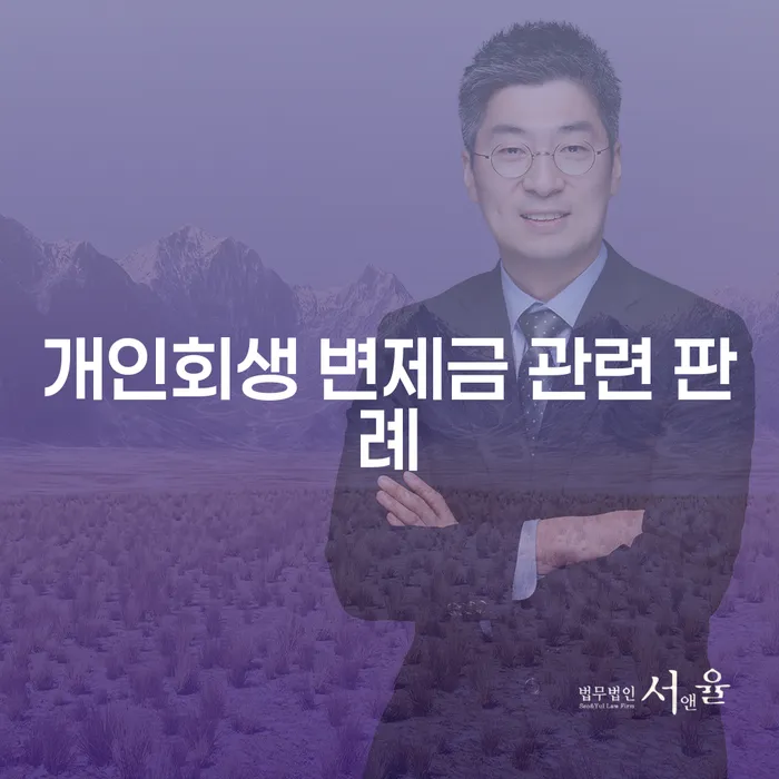 개인회생 변제금 관련 판례, 어떻게 이해해야 할까요?