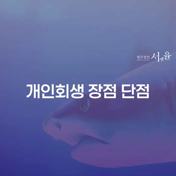 이문2동 개인회생의 장점과 단점, 채무 해결의 길